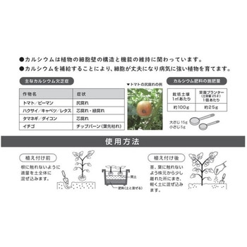 カルシウム肥料 朝日アグリア