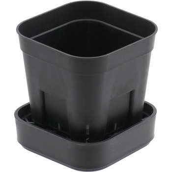 プレステラプレート120 2個組 アップルウェアー