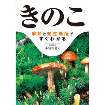 きのこ - 永岡書店