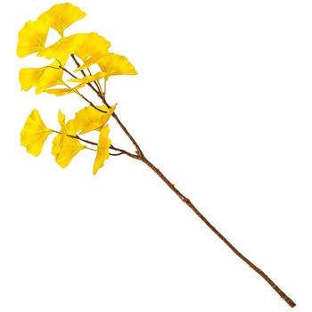 こがねいちょう枝 MAGIQ(東京堂)