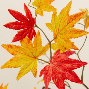 彩りもみじガーランド - MAGIQ(東京堂)