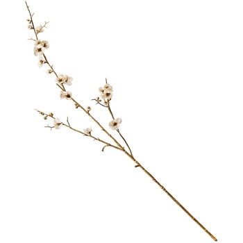 まりか梅枝 MAGIQ(東京堂)