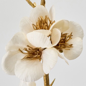 まりか梅枝 MAGIQ(東京堂)