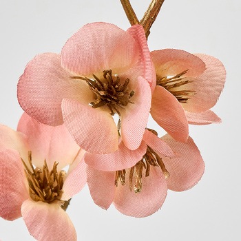 まりか梅枝 MAGIQ(東京堂)