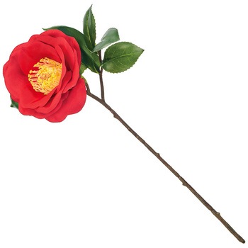 まつり椿 小 - MAGIQ(東京堂)