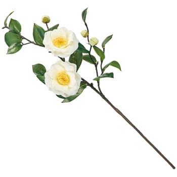 まつり椿 大 - MAGIQ(東京堂)