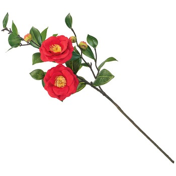 まつり椿 大 - MAGIQ(東京堂)