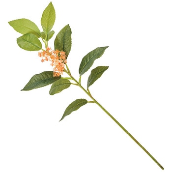 キンモクセイミディ - MAGIQ(東京堂)