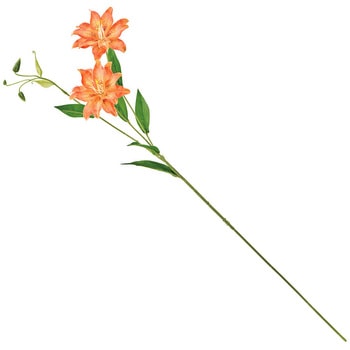 ダブルリリースプレー MAGIQ(東京堂)