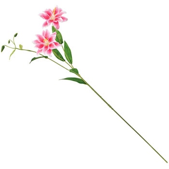 ダブルリリースプレー MAGIQ(東京堂)