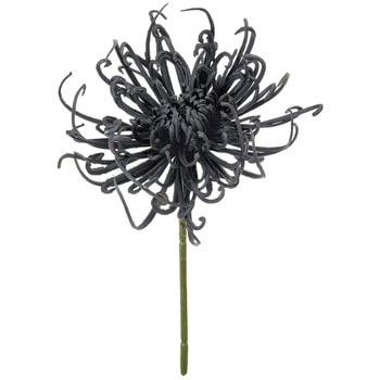 かれん糸菊ピック MAGIQ(東京堂)