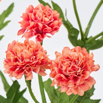 ミニョンスプレーマム MAGIQ(東京堂)