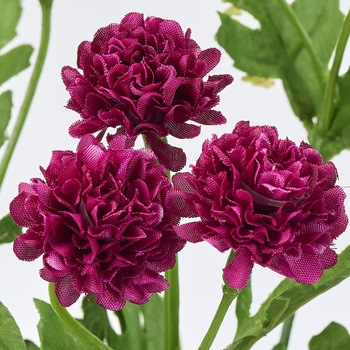 ミニョンスプレーマム MAGIQ(東京堂)