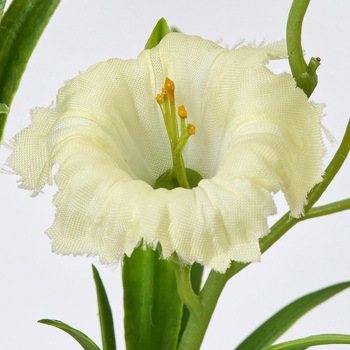 風鈴カンパヌラ MAGIQ(東京堂)