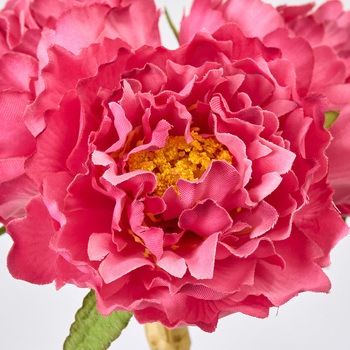 ベティピオニーバンドル MAGIQ(東京堂)