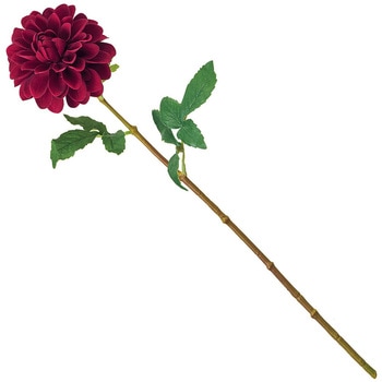 FM009821-007 _AN] M MAGIQ() 60302850