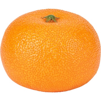 ミカン - 東京堂