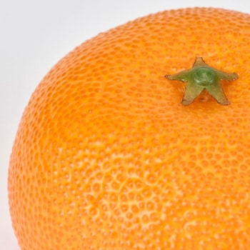 ミカン - 東京堂