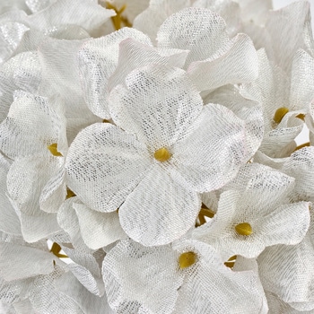 シアーハイドレンジアバンドル - MAGIQ(東京堂)