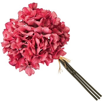 FX000320-052 VA[nChWAoh MAGIQ() zbgsNF @Ԗ[a12~L28cm 1(3{) FX000320-052 60302920