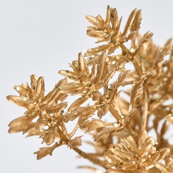 ゴールドミニパインピック MAGIQ(東京堂)