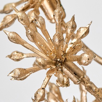 プリックゴールドベリー MAGIQ(東京堂)