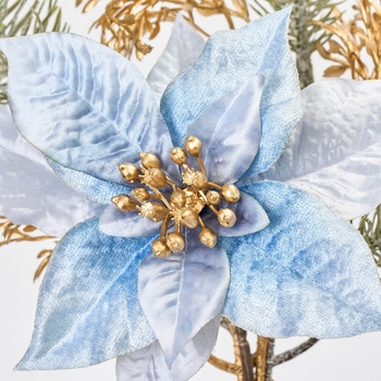 キャロルポインセチアバンドル MAGIQ(東京堂)