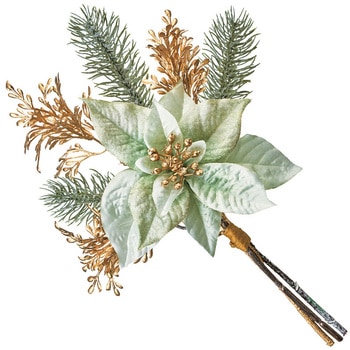 キャロルポインセチアバンドル MAGIQ(東京堂)