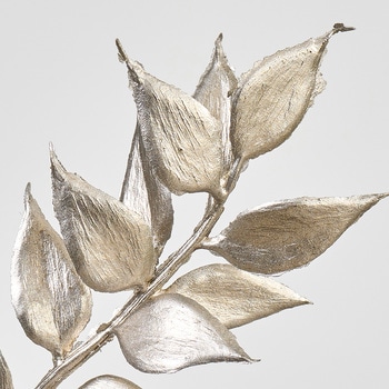 リュクスルスカス MAGIQ(東京堂)