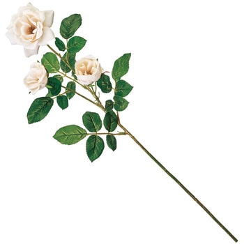 ローズエレガンテ MAGIQ(東京堂)