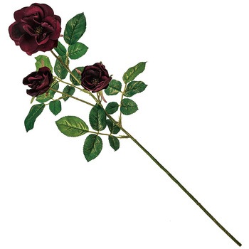 ローズエレガンテ MAGIQ(東京堂)