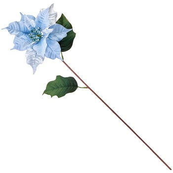 スターニングポインセチア - MAGIQ(東京堂)