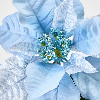 スターニングポインセチア - MAGIQ(東京堂)