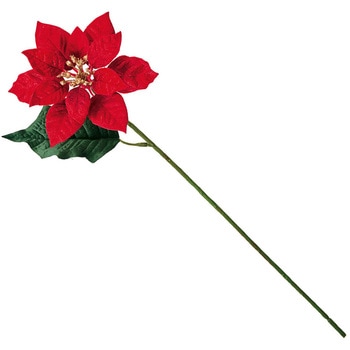 ルナミニポインセチア - MAGIQ(東京堂)