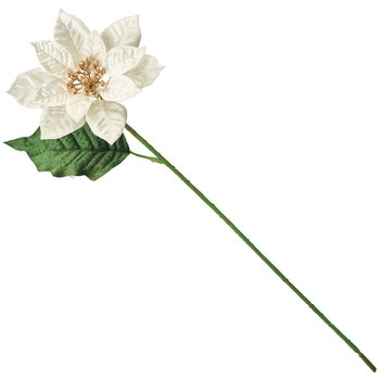 ルナミニポインセチア - MAGIQ(東京堂)