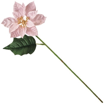 FX004386-102 ルナミニポインセチア MAGIQ(東京堂) 60303139