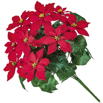 チャームポインセチアブッシュ9輪 MAGIQ(東京堂)