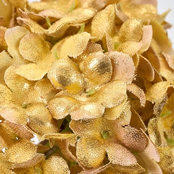 ヴェルディビバーナム MAGIQ(東京堂)