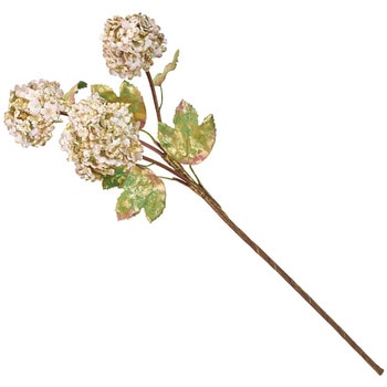 ヴェルディビバーナム MAGIQ(東京堂)