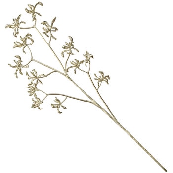 リュクスカンガルーポー MAGIQ(東京堂)