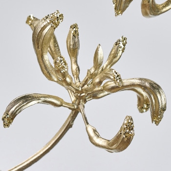 リュクスカンガルーポー MAGIQ(東京堂)