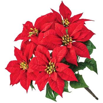 マルシェポインセチアブッシュ5輪 MAGIQ(東京堂)