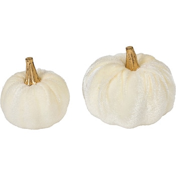 ベルベパンプキンアソート 東京堂