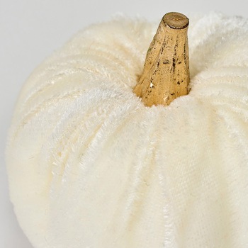 ベルベパンプキンアソート 東京堂