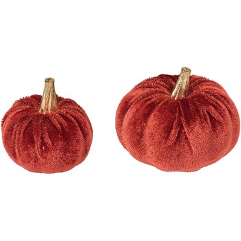 ベルベパンプキンアソート 東京堂