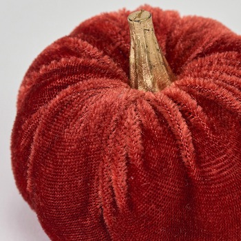 ベルベパンプキンアソート 東京堂