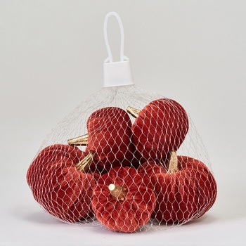 ベルベパンプキンアソート 東京堂