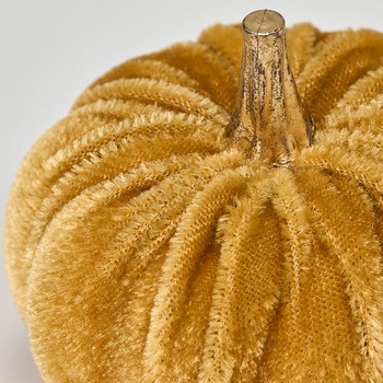 ベルベパンプキンアソート 東京堂