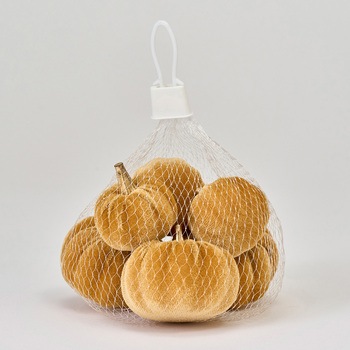 ベルベパンプキンアソート 東京堂