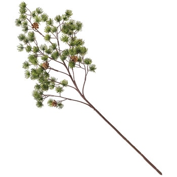 あおい松 MAGIQ(東京堂)